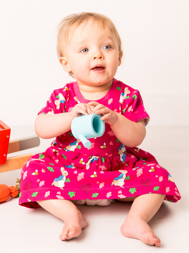 Peter Rabbit Autumn Leaf Dress