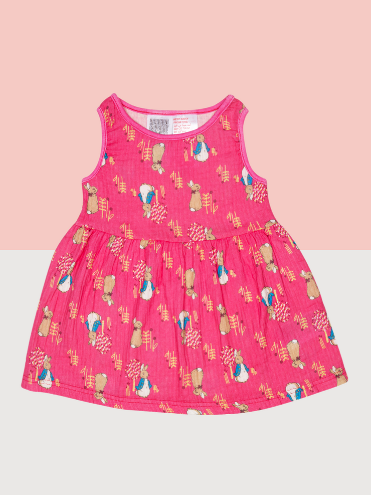 Peter Rabbit Springtime Summer Dress